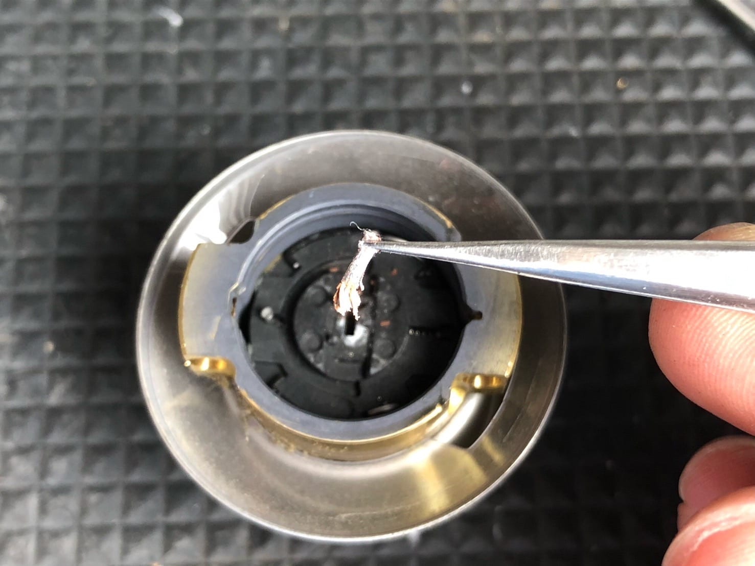 シリンダー内部から出てきた木の枝を取り除く様子