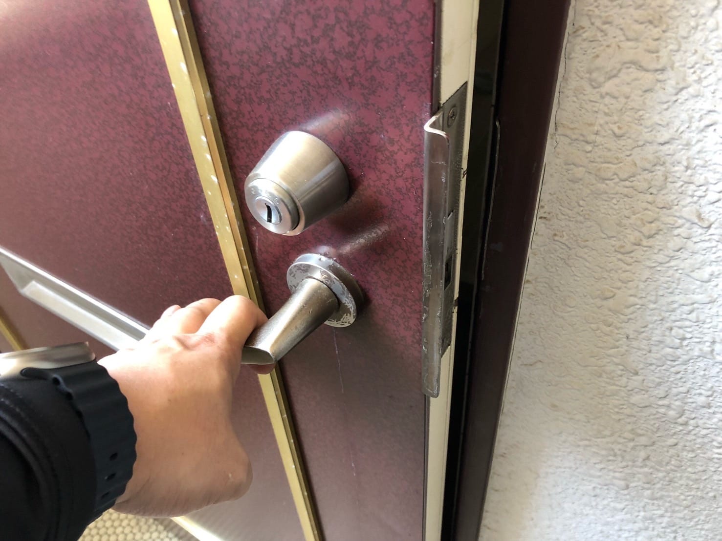 解錠を行って開いた玄関ドア