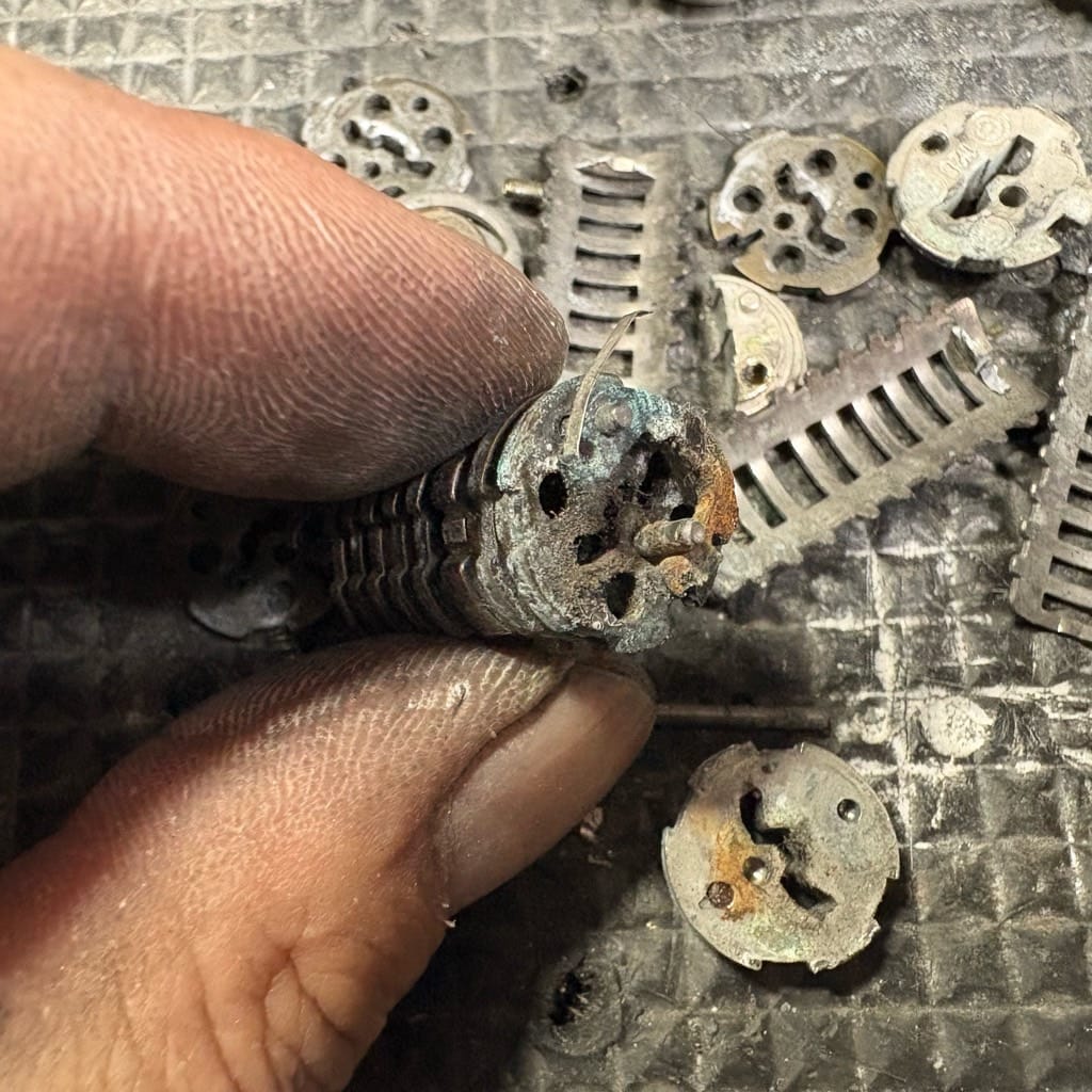 相リンダ―コアを組む様子