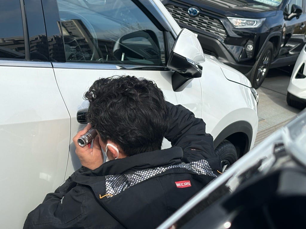 研修中のスタッフがピッキングする様子